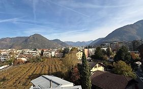 Vista Rosengarten